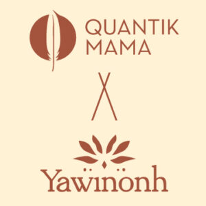 Quantik Mama X Yawinonh